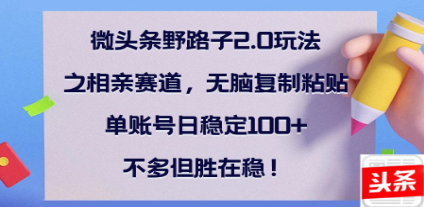 全网首发微头条野路子2.0玩法之相亲赛道，无脑搬砖复制粘贴，单账号日稳定300+保姆级教程-鸭行天下创业社