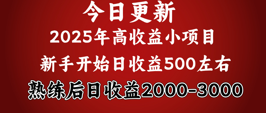 好项目一眼就能看出来，日收益1000，长久可做，2025拼的就是我比你勤奋-鸭行天下创业社
