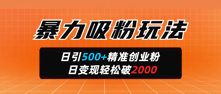暴力吸粉玩法，日引500+精准创业粉，日变现轻松破2000-鸭行天下创业社