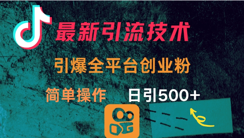 最新引流方法，引爆全平台创业粉操作简单，日引300＋-鸭行天下创业社