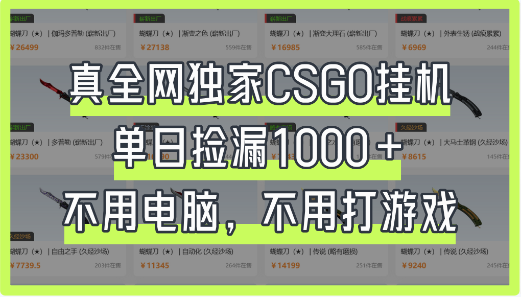 真全网独家CSGO挂机，单日捡漏1000+-鸭行天下创业社