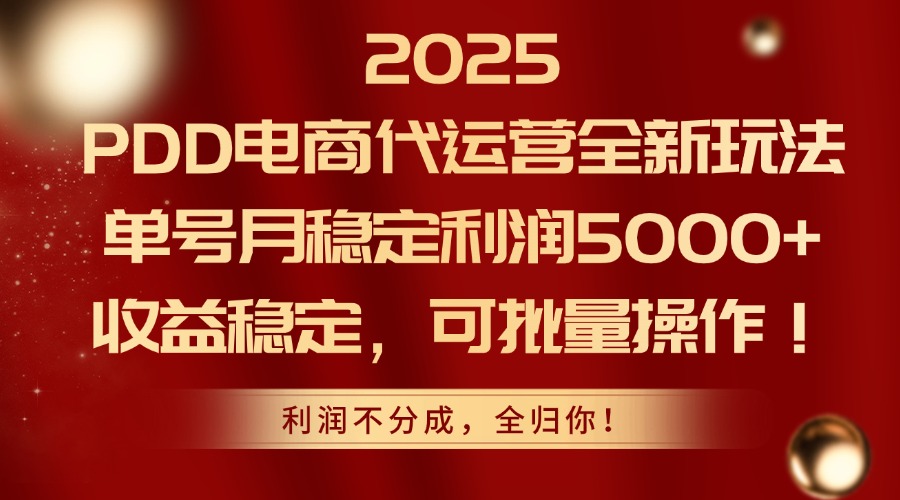 2025 PDD电商代运营全新玩法，单号月稳定利润5000+，收益稳定，可批量操作！-鸭行天下创业社