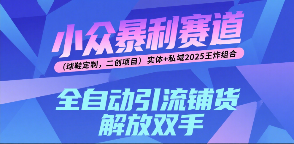 楠—小众暴利赛道（球鞋定制，二创项目）实体+私域2025王炸组合-鸭行天下创业社