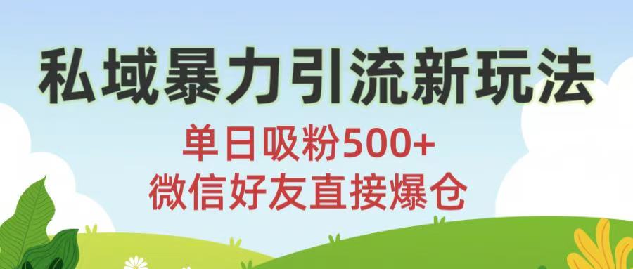 私域暴力引流新玩法!单日吸粉500+，微信好友直接爆仓-鸭行天下创业社