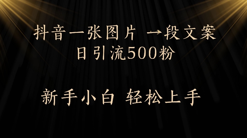 抖音一张图片，一段文案日引流500粉，新手小白 轻松上手-鸭行天下创业社