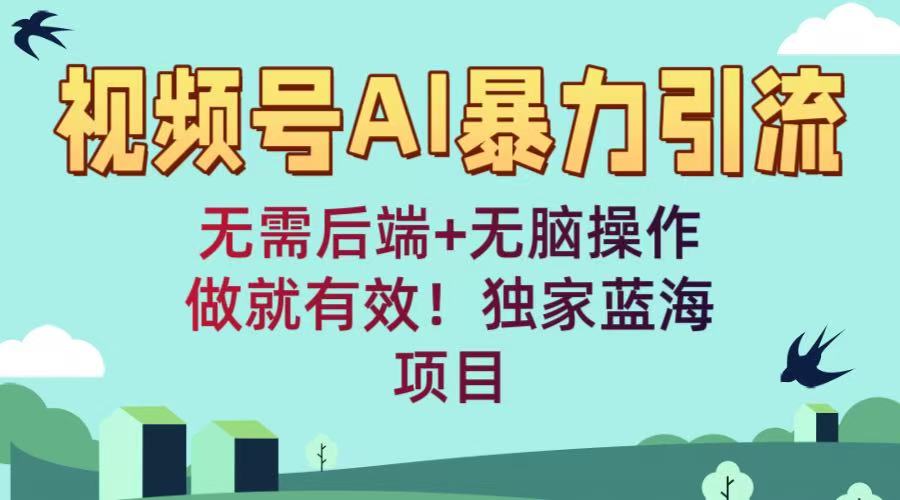 视频号AI暴力引流：无需后端+无脑操作，做就有效！独家蓝海项目-鸭行天下创业社
