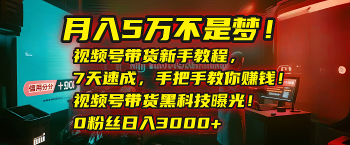 月入5万不是梦！视频号带货新手教程，7天速成，手把手教你赚钱！视频号带货黑科技曝光！0粉丝日入3000+-鸭行天下创业社