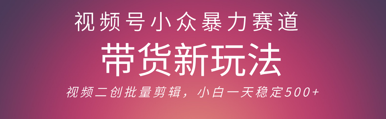 视频号小众暴力赛道，最新带货玩法 小白也能轻松日入500+ 保姆及教程-鸭行天下创业社