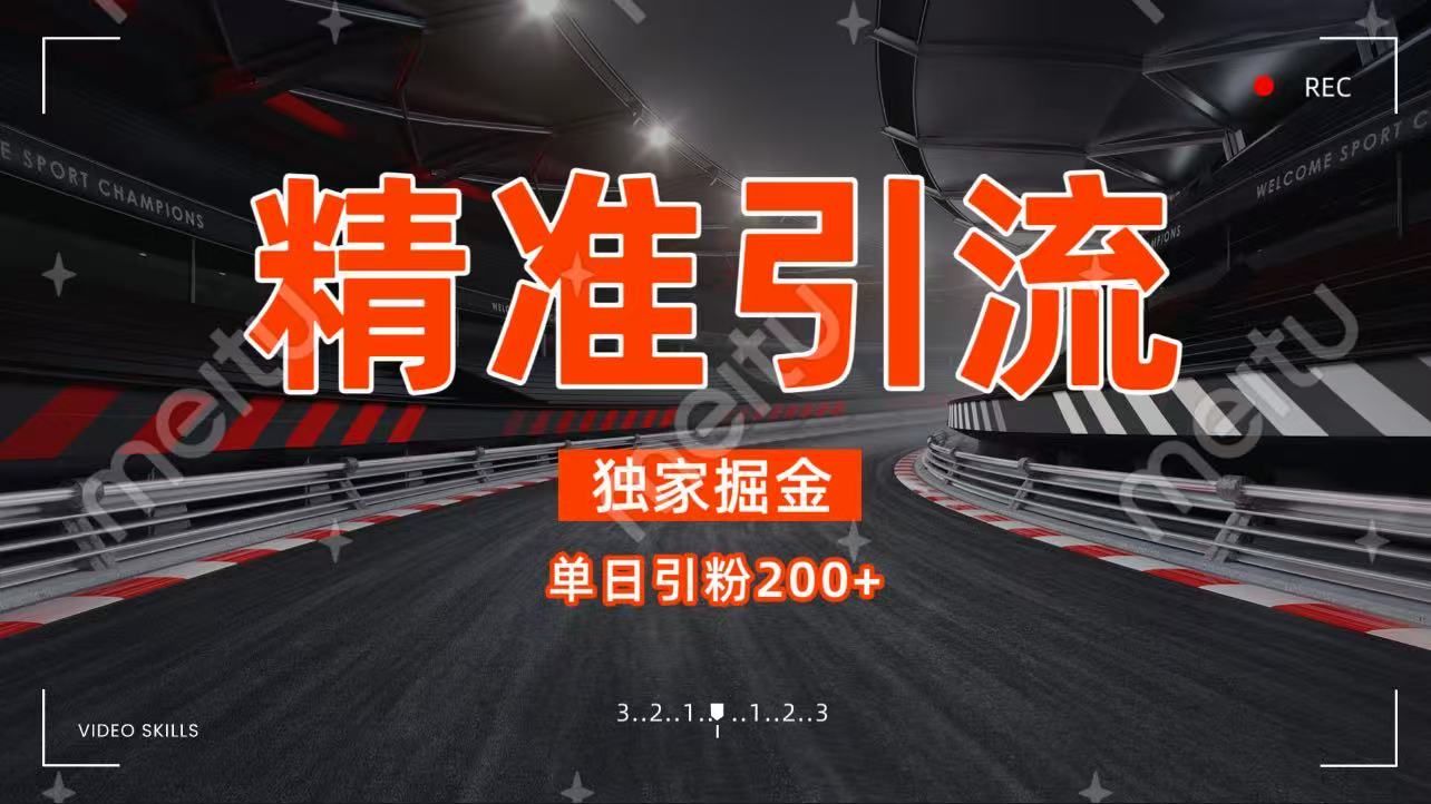 独家野路子精准引流 每日200+-鸭行天下创业社