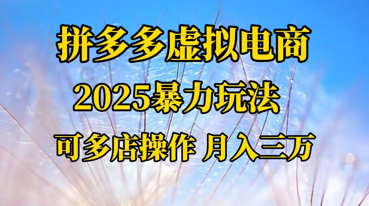 拼多多虚拟电商，不囤货不垫资的虚拟电商-鸭行天下创业社