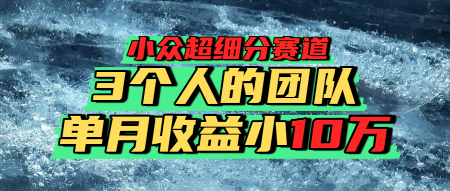 小众超细分赛道，一年百万利润的盘子！-鸭行天下创业社