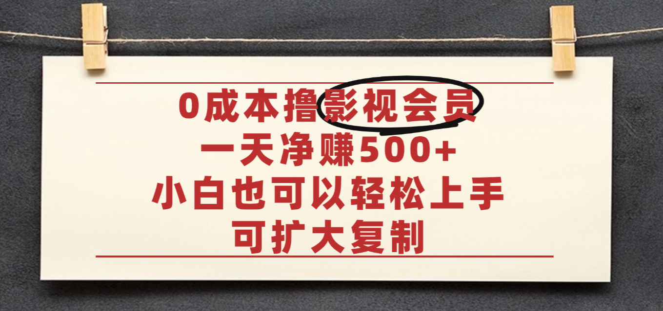 亲测,0成本可批量操作,靠卖影视会员实测月入30000+-鸭行天下创业社