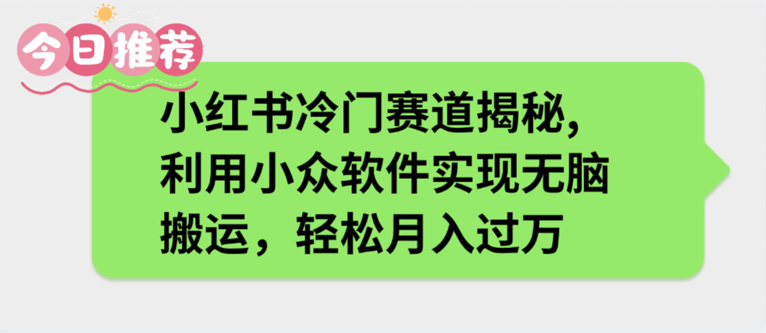 小红书冷门赛道揭秘,利用小众软件实现无脑搬运，轻松月入过万-鸭行天下创业社