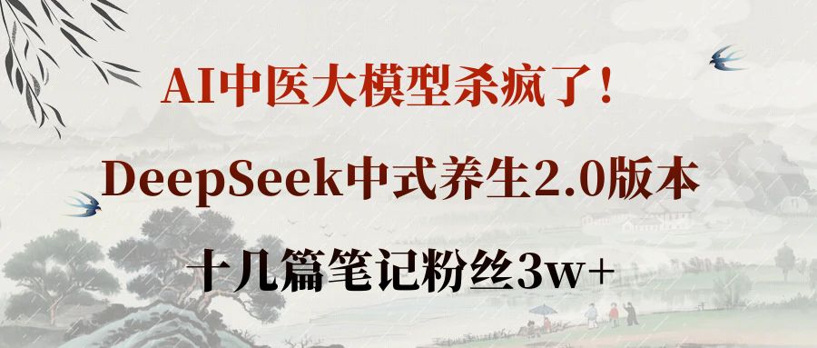 AI中医大模型杀疯了！DeepSeek中式养生2.0版本，十几篇笔记粉丝3w+-鸭行天下创业社