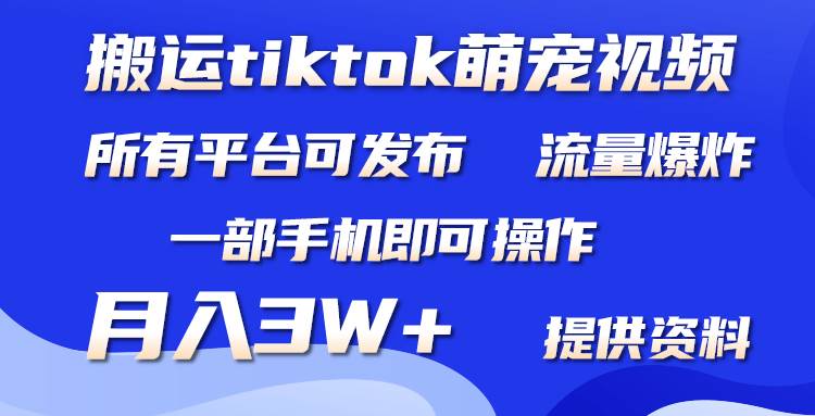 搬运Tiktok萌宠类视频，一部手机即可。所有短视频平台均可操作，月入3W+-鸭行天下创业社