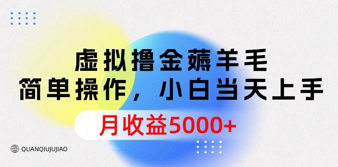 虚拟撸金薅羊毛，简单操作，小白当天上手，月收益5000+-鸭行天下创业社