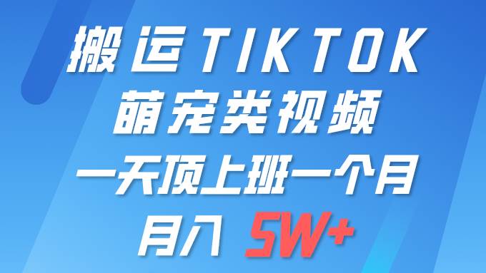 一键搬运TIKTOK萌宠类视频 一部手机即可操作 所有平台均可发布 轻松月入5W+-鸭行天下创业社