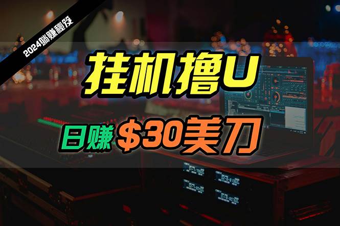 日赚30美刀，2024最新海外挂机撸U内部项目，全程无人值守，可批量放大-鸭行天下创业社