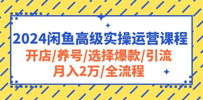 2024闲鱼高级实操运营课程：开店/养号/选择爆款/引流/月入2万/全流程-鸭行天下创业社