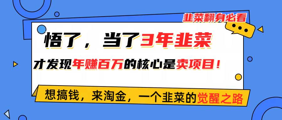 悟了，当了3年韭菜，才发现网赚圈年赚100万的核心是卖项目，含泪分享！-鸭行天下创业社