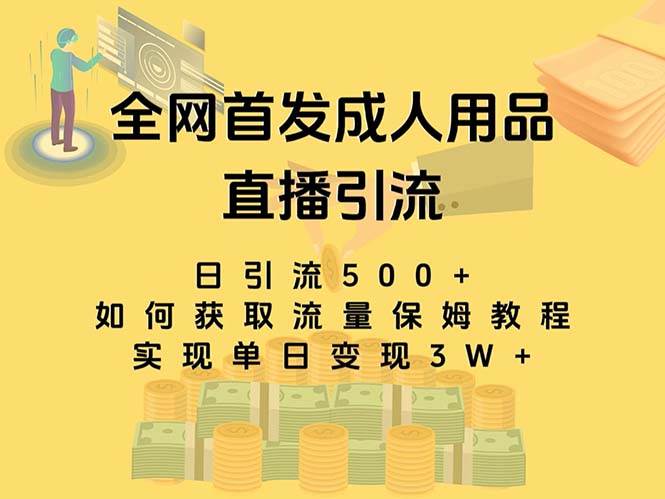 最新全网独创首发，成人用品直播引流获客暴力玩法，单日变现3w保姆级教程-鸭行天下创业社