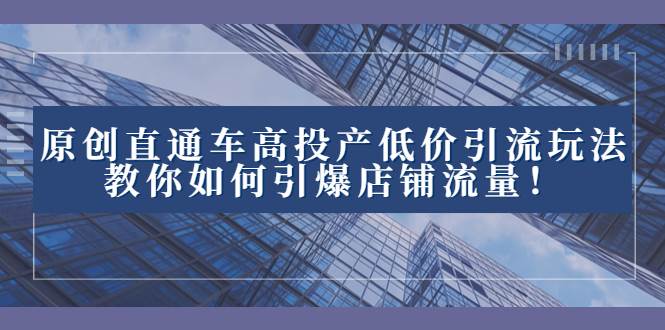 2023直通车高投产低价引流玩法，教你如何引爆店铺流量！-鸭行天下创业社